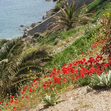 Ξενοδοχείο με διαμερίσματα Mykonos Azure Ψαρού